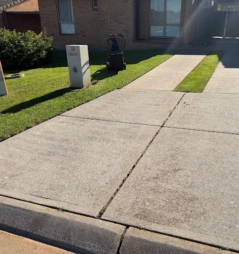 front yard and driveway with recently mowed lawn