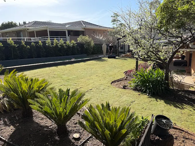 Tidy backyard landscapingwith large lawn area and neat garden beds with ferns.