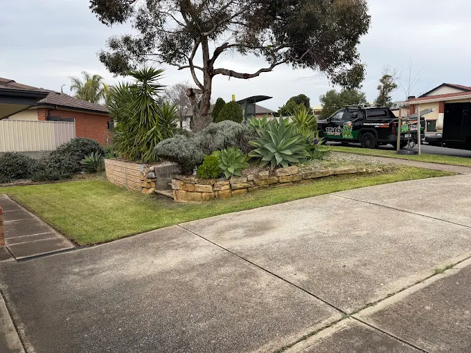Neat front yard lawn along concrete driveway and path. A clean garden bed is also pictured with various plants.