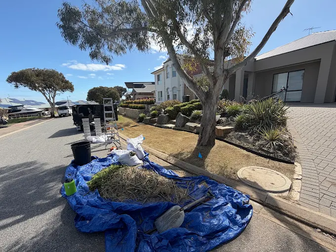 House frontage with clean lawn alongside the road, with a large blue bag containing cleaned up plant bits.